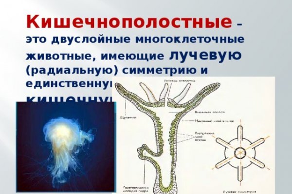 Кракен не работает